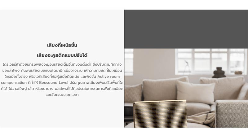 B&O ลำโพงพกพา Beosound Level