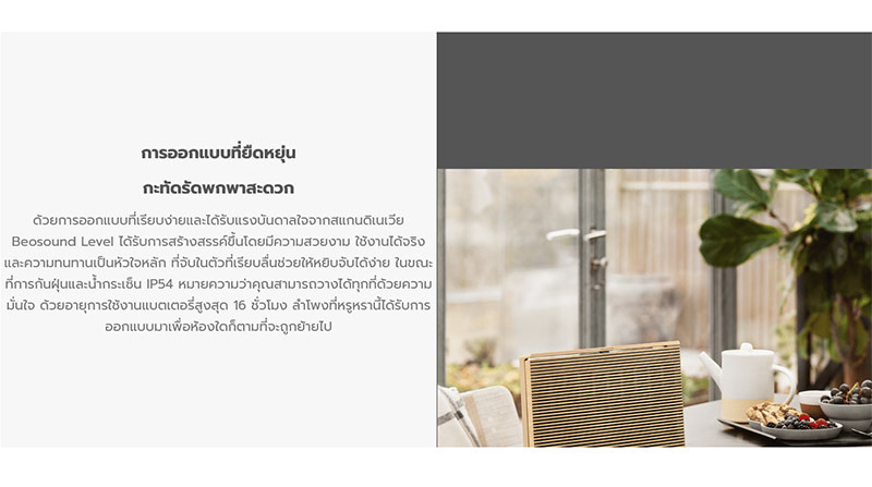 B&O ลำโพงพกพา Beosound Level