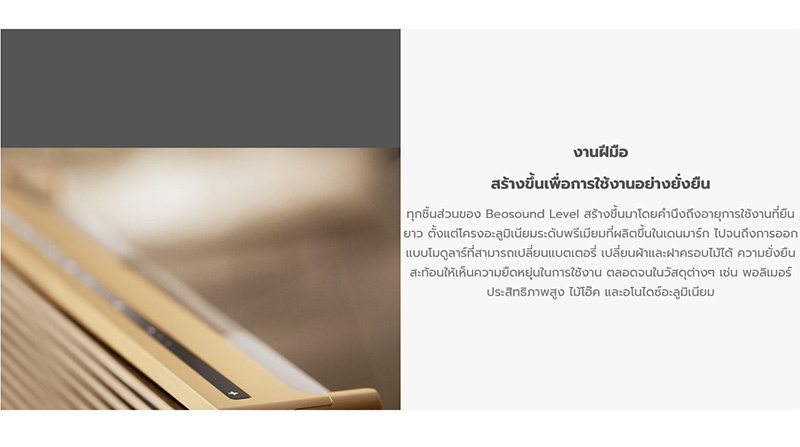 B&O ลำโพงพกพา Beosound Level