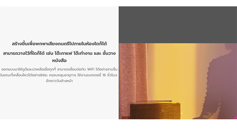 B&O ลำโพงพกพา Beosound Level