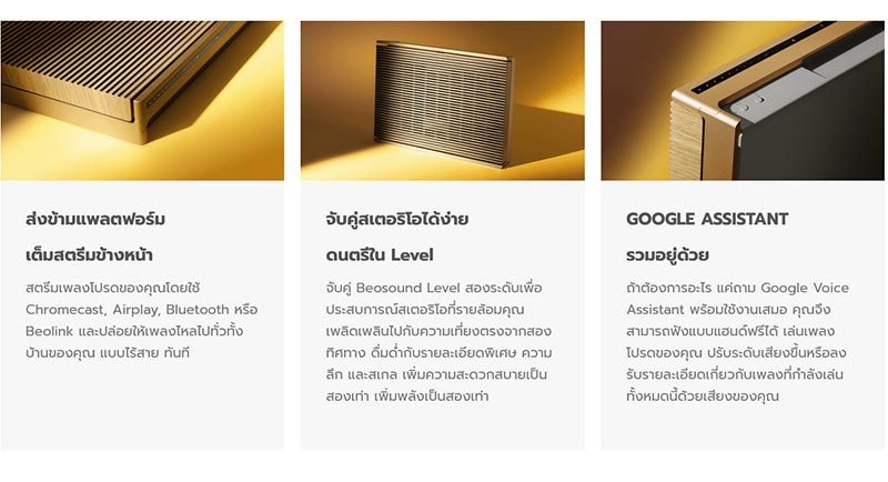 B&O ลำโพงพกพา Beosound Level