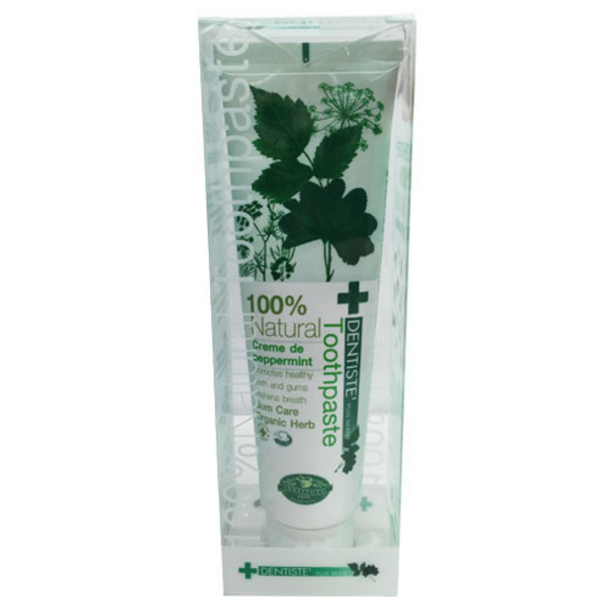 Dentiste Toothpaste100g Dentiste Toothpaste100g