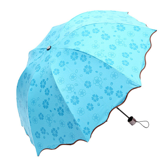 Magic Umbrella ร่มสีฟ้า Magic Umbrella ร่มสีฟ้า