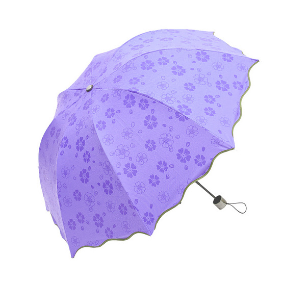 Magic Umbrella ร่มสีม่วง Magic Umbrella ร่มสีม่วง