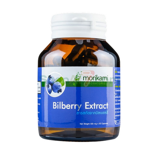 Morikami ซื้อ 1 แถม 1 Billberry Extract 500 mg. สารสกัดจากบิลเบอร์รี่ 500 มก. บรรจุ 30 แคปซูล Morikami ซื้อ 1 แถม 1 Billberry Extract 500 mg. สารสกัดจากบิลเบอร์รี่ 500 มก. บรรจุ 30 แคปซูล