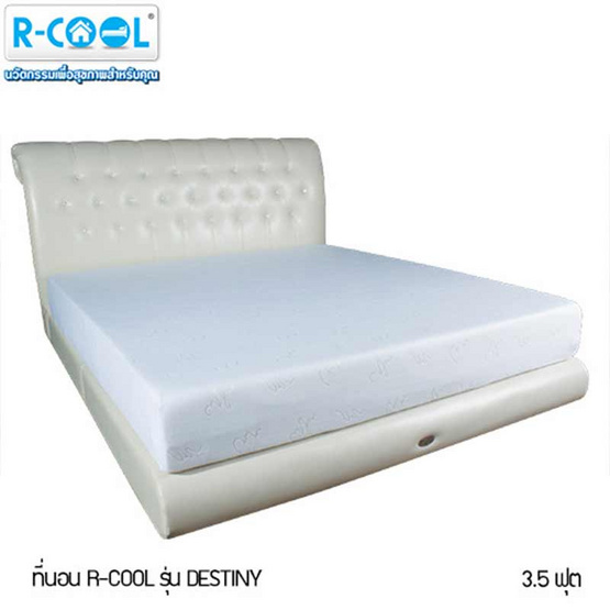 R-Cool ที่นอน รุ่น DESTINY (3.5 ฟุต) แถมฟรี! Curve Pillow Medium 1 ใบ R-Cool ที่นอน รุ่น DESTINY (3.5 ฟุต) แถมฟรี! Curve Pillow Medium 1 ใบ