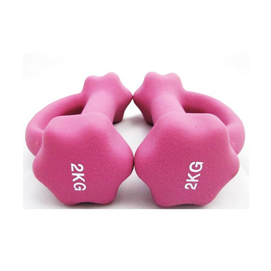 a bloom ดัมเบล ทรงหกเหลี่ยม พร้อมที่จับ น้ำหนัก 2 กก. 2 ชิ้น สีชมพู (Hexagon End Dumbbell with Handle) a bloom ดัมเบล ทรงหกเหลี่ยม พร้อมที่จับ น้ำหนัก 2 กก. 2 ชิ้น สีชมพู (Hexagon End Dumbbell with Handle)