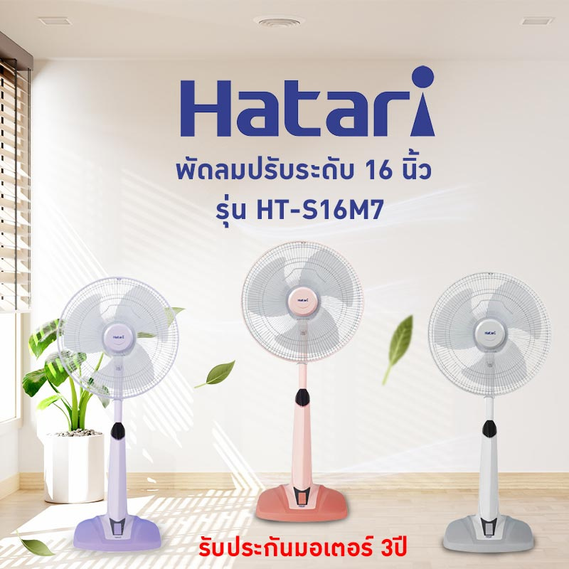 hatari