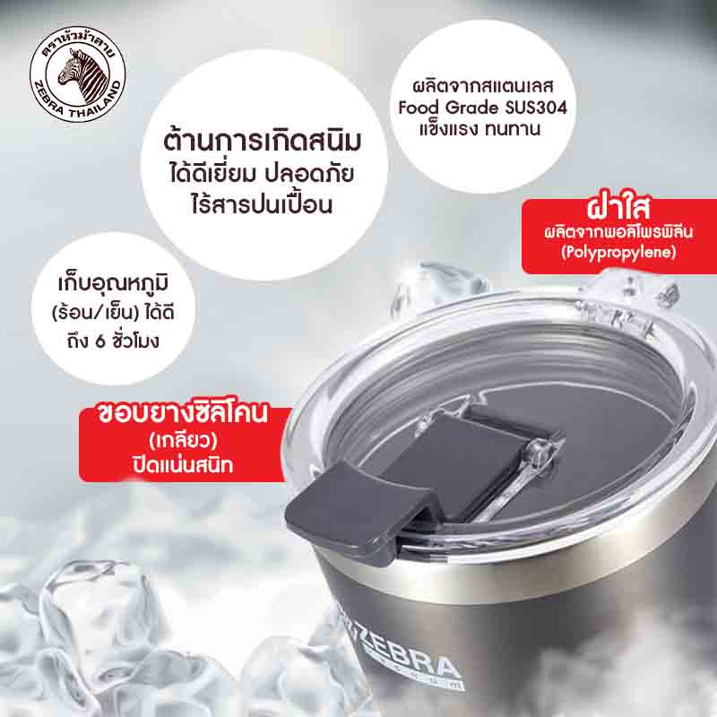 Zebra ถ้วยน้ำสูญญากาศ POLAR 0.58 L สีเทา