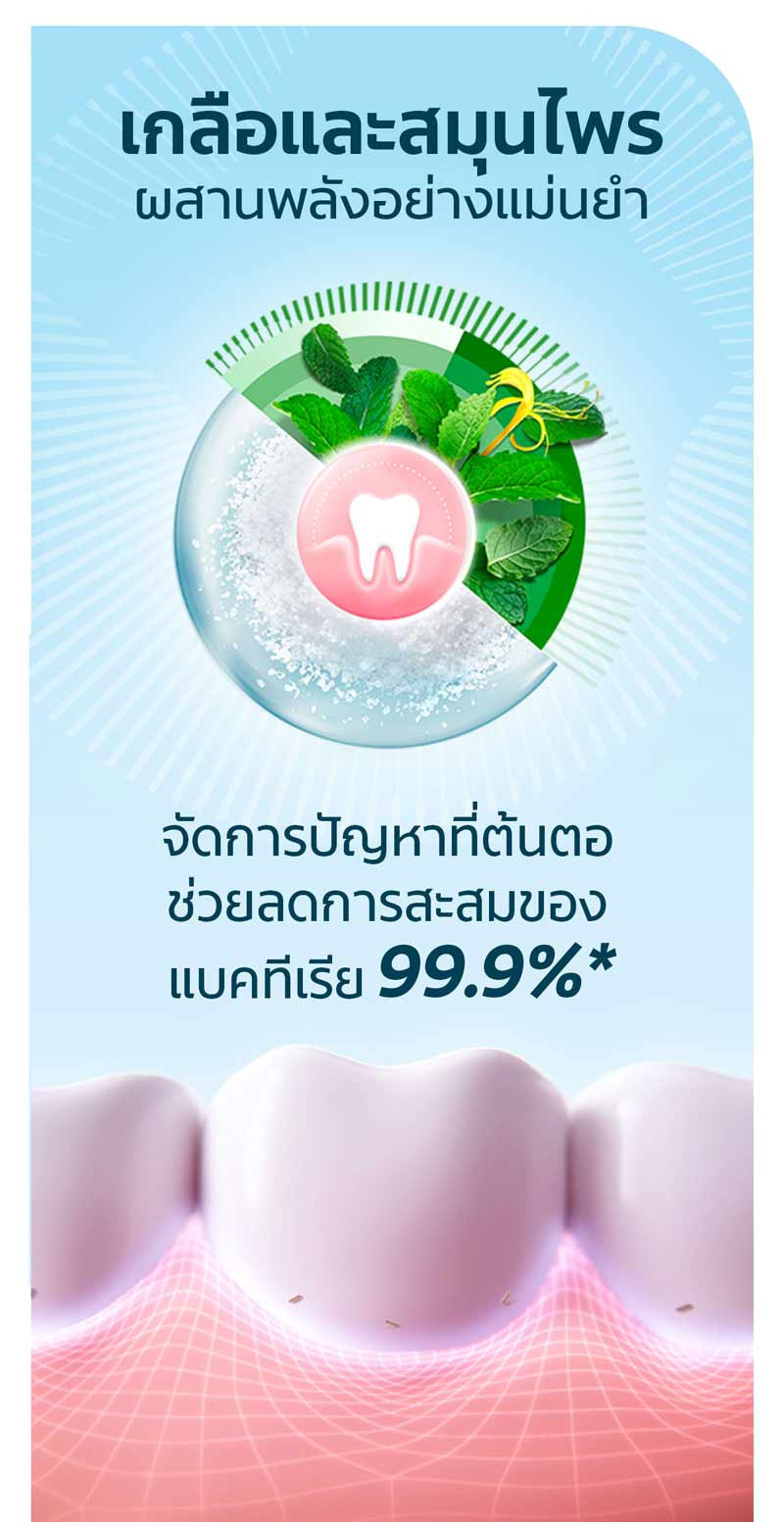 คอลเกต ยาสีฟัน เกลือสมุนไพร 150 กรัม (แพ็ก 6 ชิ้น)