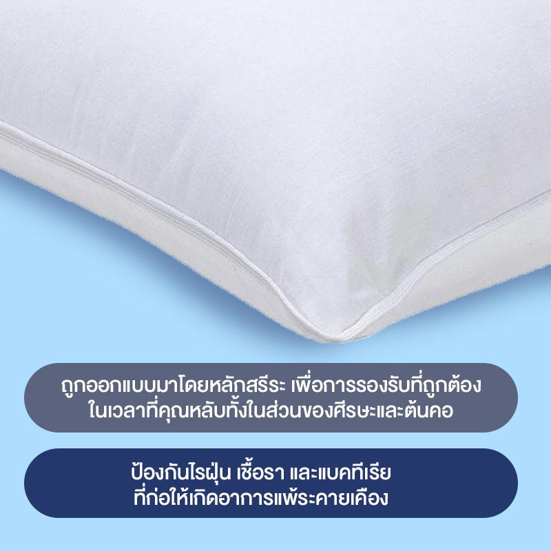 Picasso หมอนหนุน ร่น Nano gel pillow