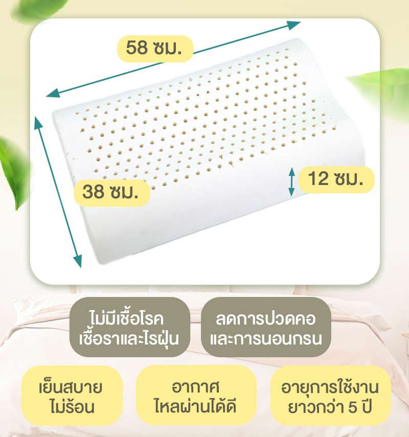 Sleep Health หมอนยางพาราธรรมชาติ รุ่นคอนทัวร์