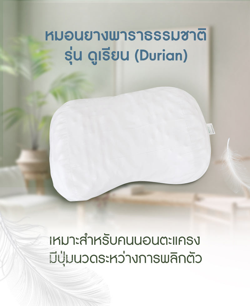 Sleep Health หมอนยางพาราธรรมชาติ รุ่น ดูเรียน