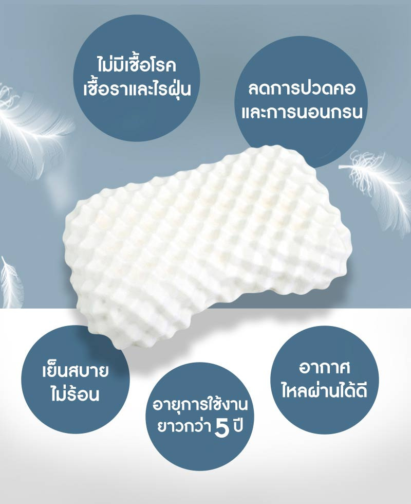 Sleep Health หมอนยางพาราธรรมชาติ รุ่น ดูเรียน