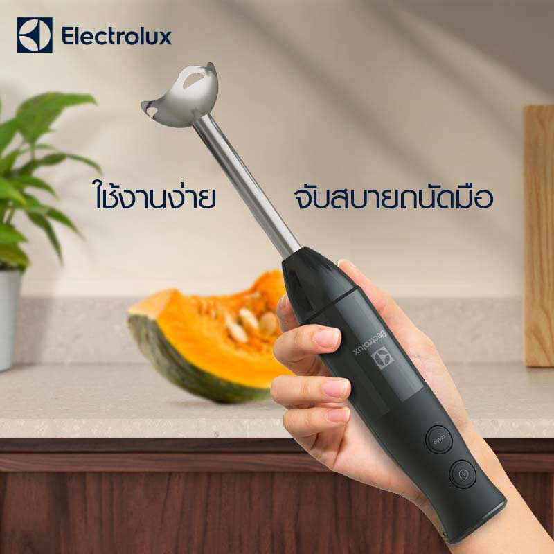 Electrolux เครื่องปั่นแบบมือจับ รุ่น E3HB1-880K