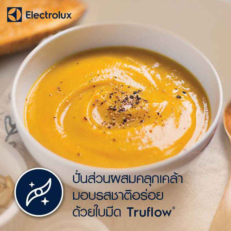 Electrolux เครื่องปั่นแบบมือจับ รุ่น E3HB1-880K