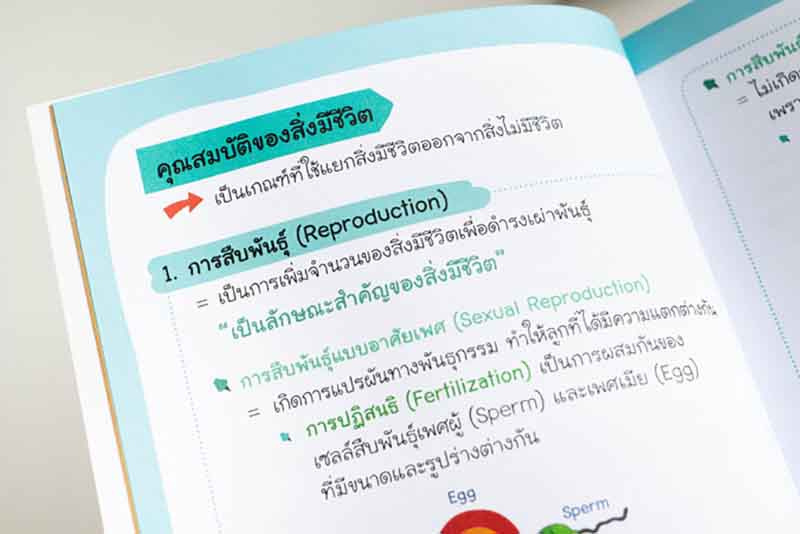 หนังสือ Easy Biology ชีวะ ม.ปลาย ง่ายนิดเดียว 08