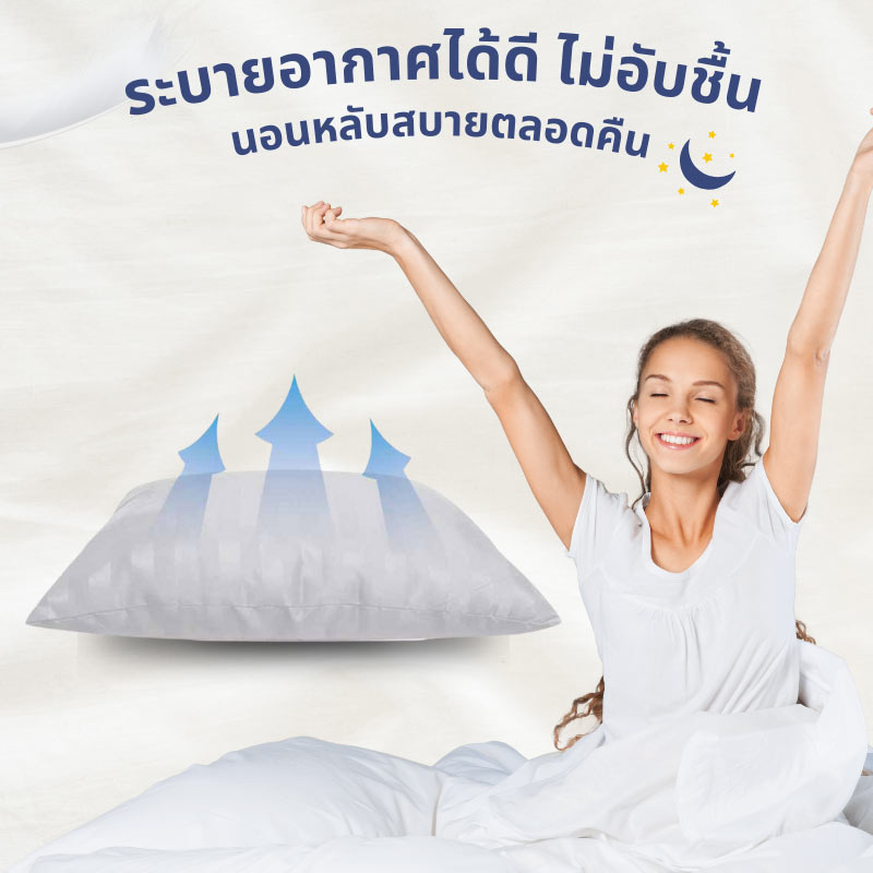 DD Bedding หมอนหนุน รุ่น Compact ขาว