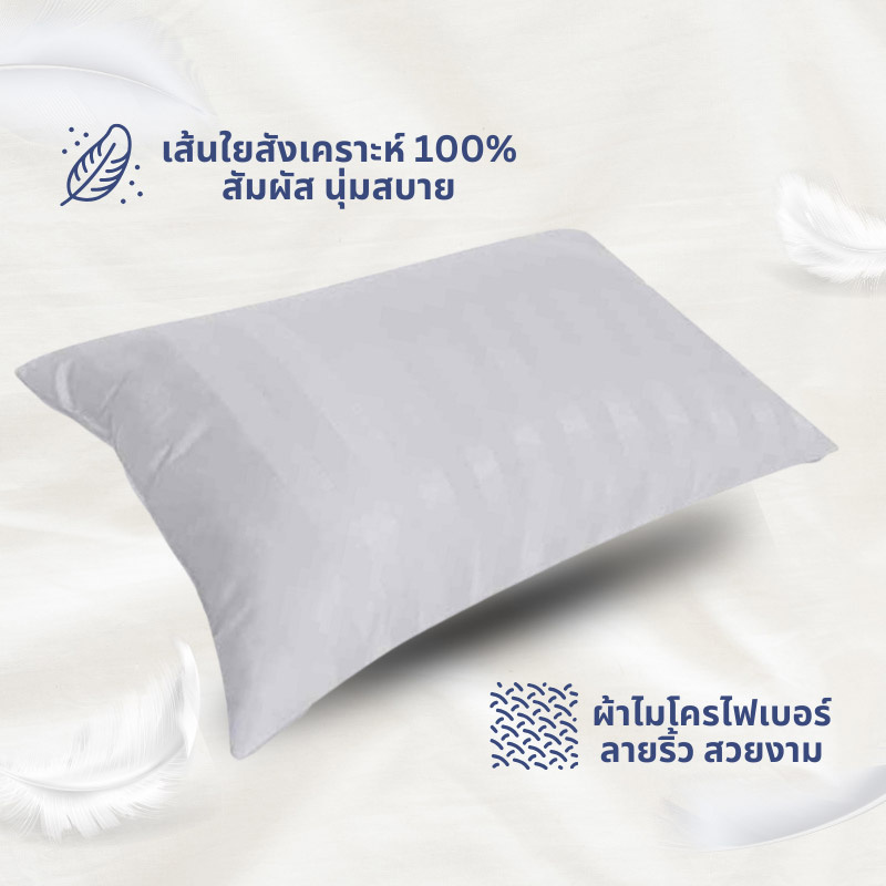 DD Bedding หมอนหนุน รุ่น Compact ขาว