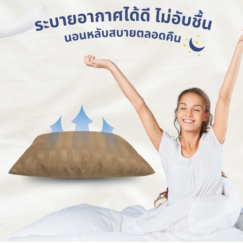 DD Bedding หมอนหนุน รุ่น Compact น้ำตาลอ่อน