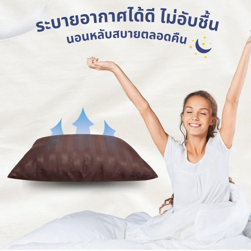 DD Bedding หมอนหนุน รุ่น Compact น้ำตาลเข้ม