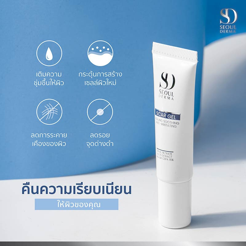 Seoul Derma Scar Gel 8 กรัม