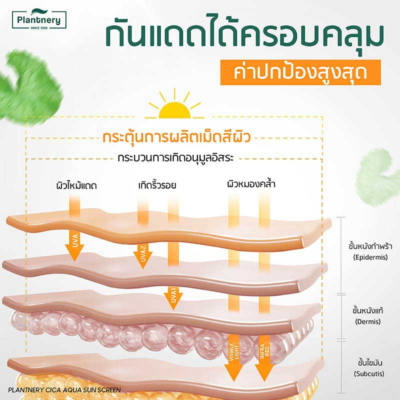 Plantnery ครีมกันแดด CICA Ceramide Aqua UV Defence SPF50+ PA++++ 50 มล.