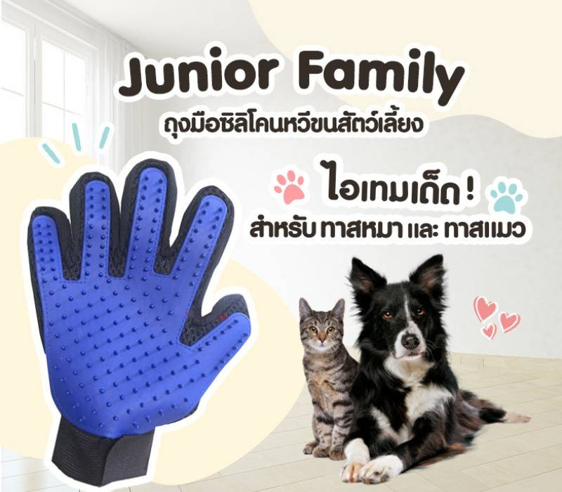 junior-family