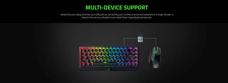 Razer เมาส์เกมไร้สาย Basilisk V3 X