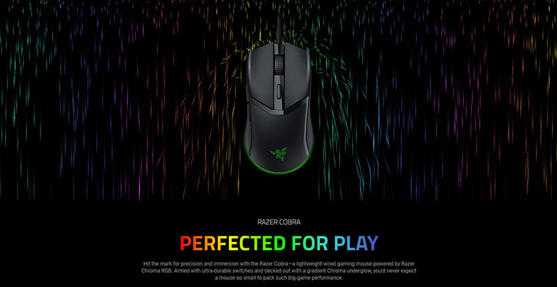 Razer เมาส์เกมไร้สาย Cobra