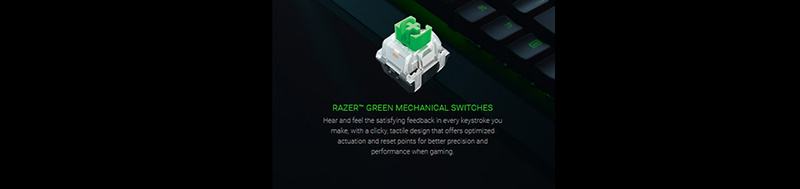 Razer คีย์บอร์ดเกม BlackWidow V3 Tenkeyless Green Switch (THAI)