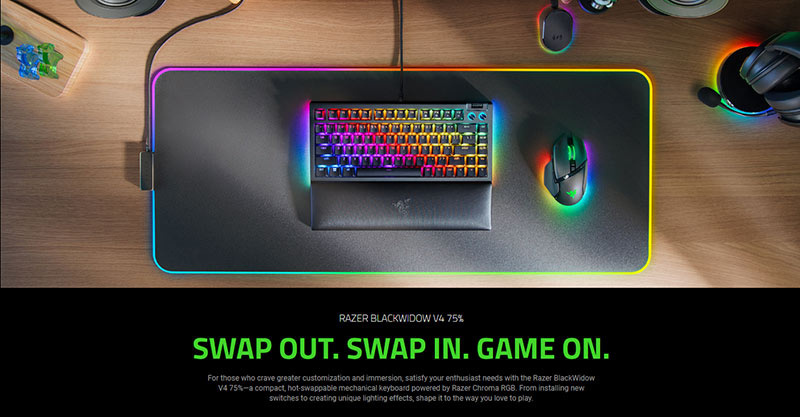 Razer คีย์บอร์ดเกม BlackWidow V4 75% (EN)