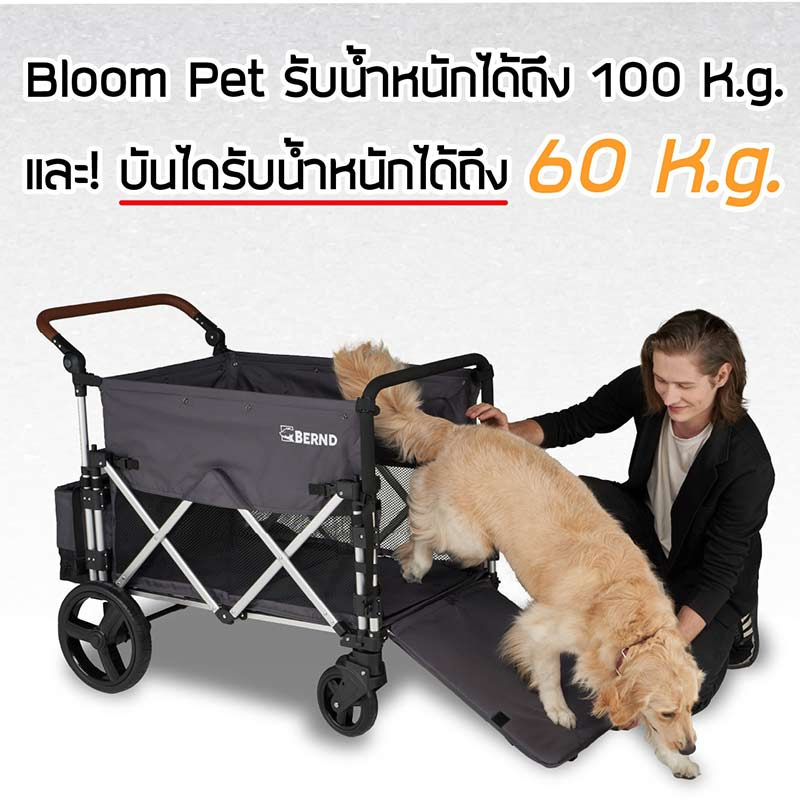 Bernd รถเข็นสำหรับสัตว์เลี้ยง รับน้ำหนักได้ 100 กก. รุ่น Bloom Pet