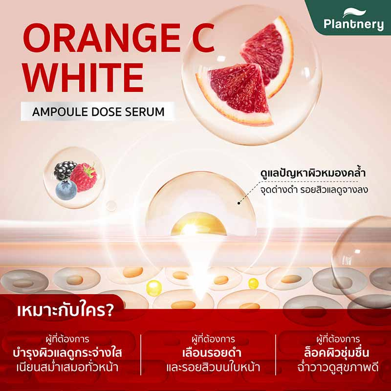 Plantnery เซรั่มเข้มข้น Orange C White Ampoule Dose Serum