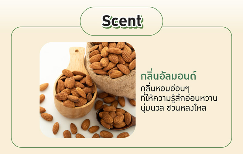 Baby Bright ครีมอาบน้ำ Almond Avocado Body Cleanser 450 มล.