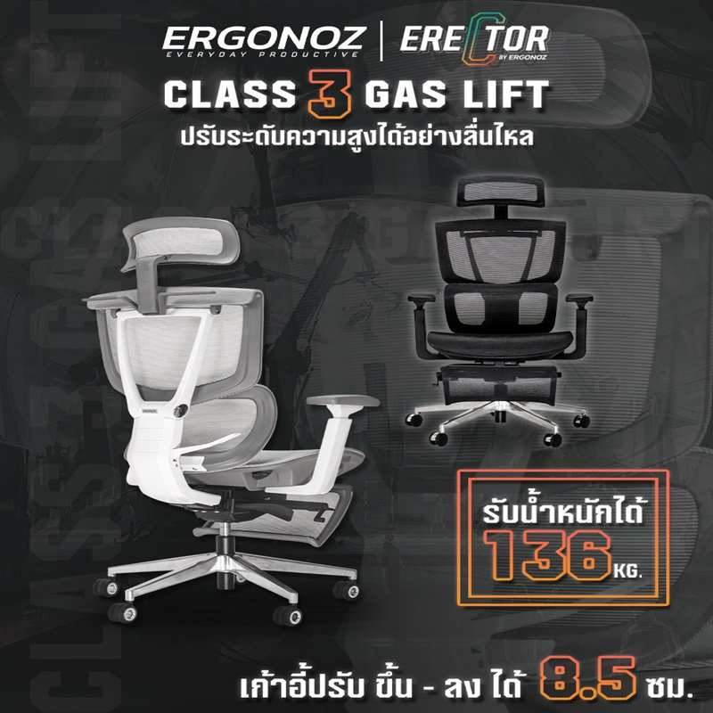 ERGONOZ