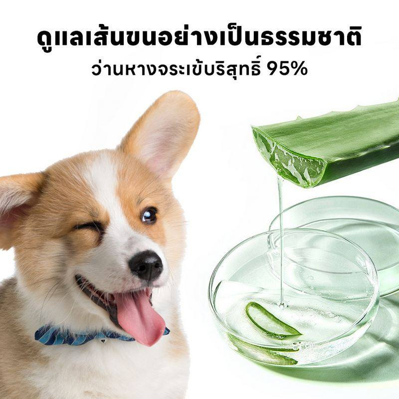 YOYOPET