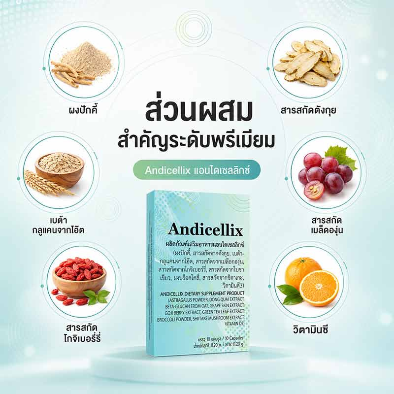 Andicellix Andicellix