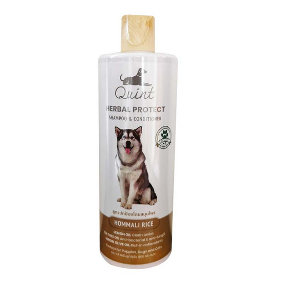 Quint แชมพูผสมครีมนวด กลิ่นข้าวหอมมะลิ 515 ml. Quint แชมพูผสมครีมนวด กลิ่นข้าวหอมมะลิ 515 ml.