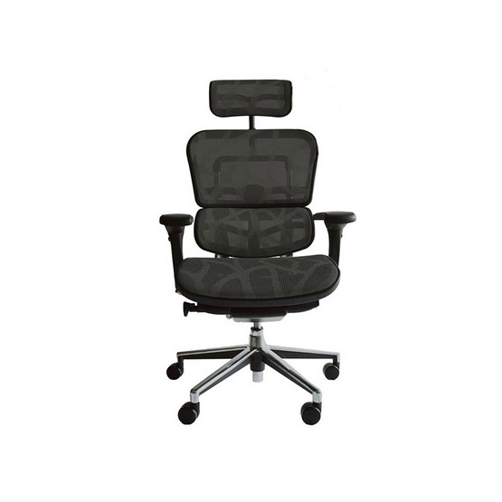DF Prochair เก้าอี้เพื่อสุขภาพ รุ่น EH2 DF Prochair เก้าอี้เพื่อสุขภาพ รุ่น EH2