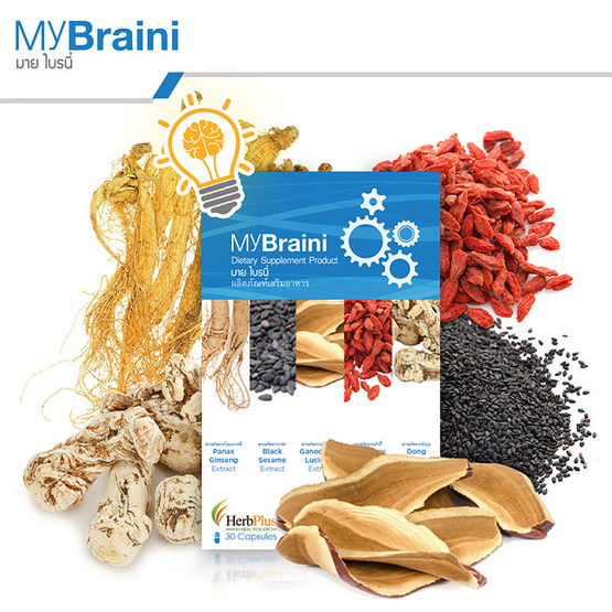 Herb Plus MyBraini (มาย ไบรนี่) สมุนไพรบำรุงสมอง 30 แคปซูล Herb Plus MyBraini (มาย ไบรนี่) สมุนไพรบำรุงสมอง 30 แคปซูล