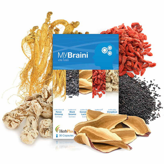 Herb Plus MyBraini (มาย ไบรนี่) สมุนไพรบำรุงสมอง 30 แคปซูล Herb Plus MyBraini (มาย ไบรนี่) สมุนไพรบำรุงสมอง 30 แคปซูล