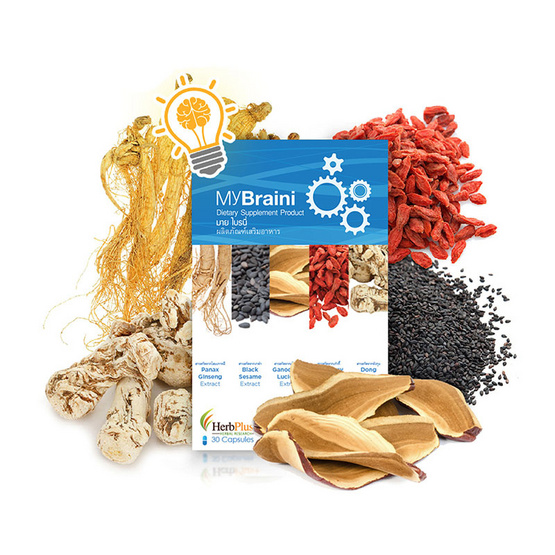 Herb Plus MyBraini (มาย ไบรนี่) สมุนไพรบำรุงสมอง 30 แคปซูล Herb Plus MyBraini (มาย ไบรนี่) สมุนไพรบำรุงสมอง 30 แคปซูล