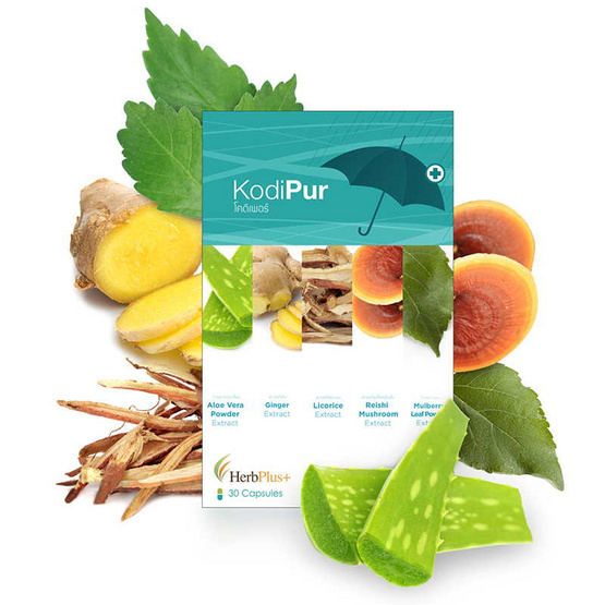 Herb Plus Kodipur (โคดิเพอร์) อาหารเสริมสกัดจากสมุนไพร 6 ชนิด 30 แคปซูล Herb Plus Kodipur (โคดิเพอร์) อาหารเสริมสกัดจากสมุนไพร 6 ชนิด 30 แคปซูล