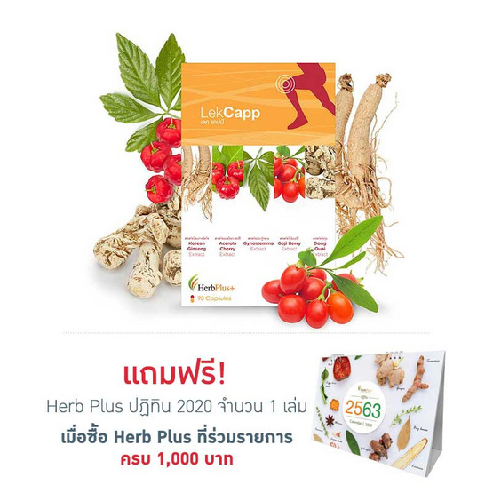 Herb Plus Lekcapp (เลคแคปป์) สมุนไพรบำรุงกระดูกและข้อเข่า 90 แคปซูล Herb Plus Lekcapp (เลคแคปป์) สมุนไพรบำรุงกระดูกและข้อเข่า 90 แคปซูล