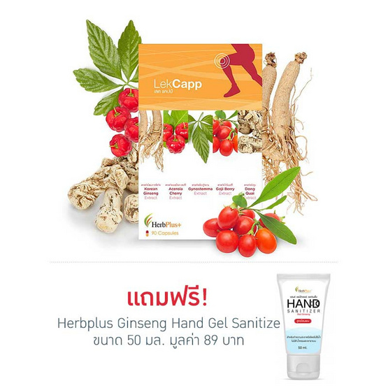 Herb Plus Lekcapp (เลคแคปป์) สมุนไพรบำรุงกระดูกและข้อเข่า 90 แคปซูล Herb Plus Lekcapp (เลคแคปป์) สมุนไพรบำรุงกระดูกและข้อเข่า 90 แคปซูล