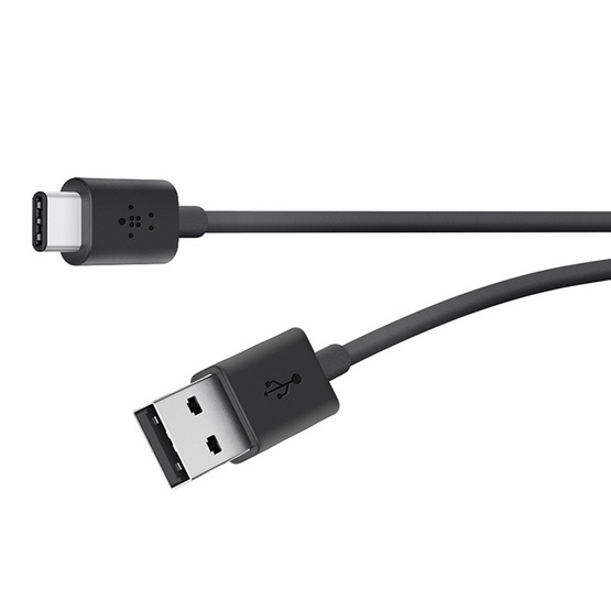 Belkin รุ่น F2CU032bt06 2.0 USB-C to USB-A - 1.8M Belkin รุ่น F2CU032bt06 2.0 USB-C to USB-A - 1.8M