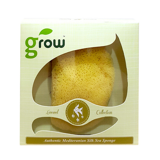 ฟองน้ำธรรมชาติ Grow XXL ฟองน้ำธรรมชาติ Grow XXL