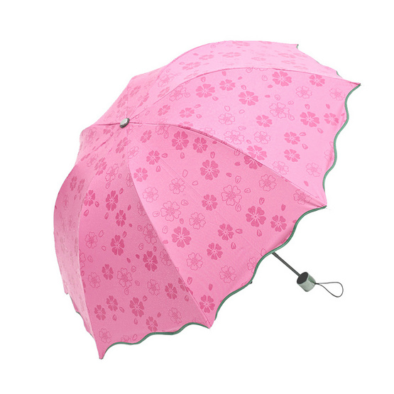 Magic Umbrella ร่มสีชมพู Magic Umbrella ร่มสีชมพู