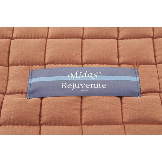 Midas ที่นอนปิคนิคยางพารา Rejuvenite 3 ฟุต Midas ที่นอนปิคนิคยางพารา Rejuvenite 3 ฟุต